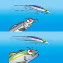 DUEL BULLET FAST S (F1242)