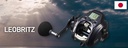 CARRETE DAIWA LEOBRITZ 300